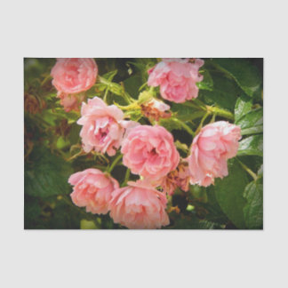 Coming up Roses Gift Tissue Paper