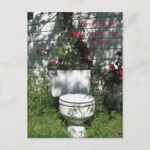 Coming Up Roses Postcard