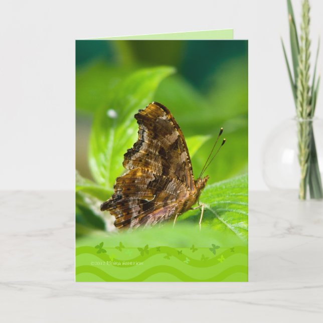Comma Butterfly Card (Front)