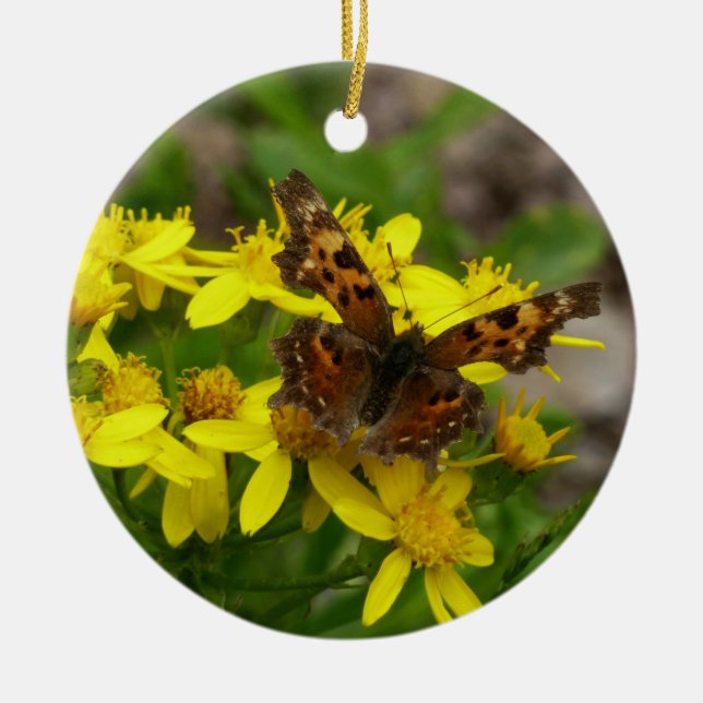 Comma Butterfly in Glacier National Park Ceramic Ornament (Front)