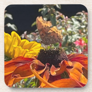  Comma Butterfly on a Rudbeckia Flower  Coaster