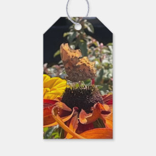  Comma Butterfly on a Rudbeckia Flower   Gift Tags