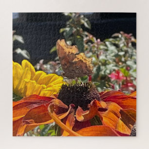 Comma Butterfly on a Rudbeckia Flower Jigsaw Puzzle