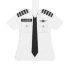 Commandant-pilote - Ornement de profession d'argen