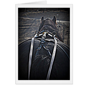 Commande de début de la matinée