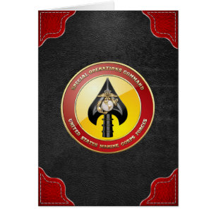 Commande d'opérations spéciales d'usmc (MARSOC)