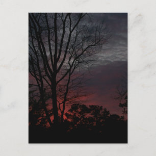 Comme Dark Approches Carte Postale