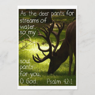 Comme invitation de cerfs communs