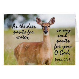 Comme le pantalon de cerf pour l'eau Bible Psaume 