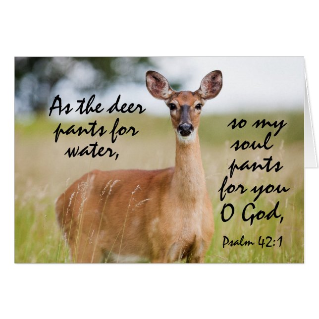 Comme le pantalon de cerf pour l'eau Bible Psaume  (Devant horizontal)