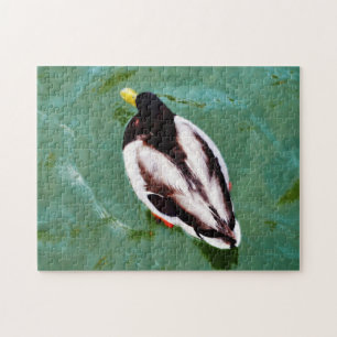 Comme un canard dans l'eau Puzzle de canard sauvag