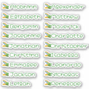 Comment attraper un Leprechaun Stickers de nom per