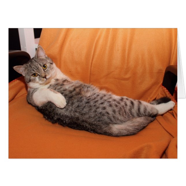 Comment ça va ? Dîner Ready ? (Devant horizontal)