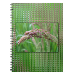 Comment l'herbe pousse le Carnet