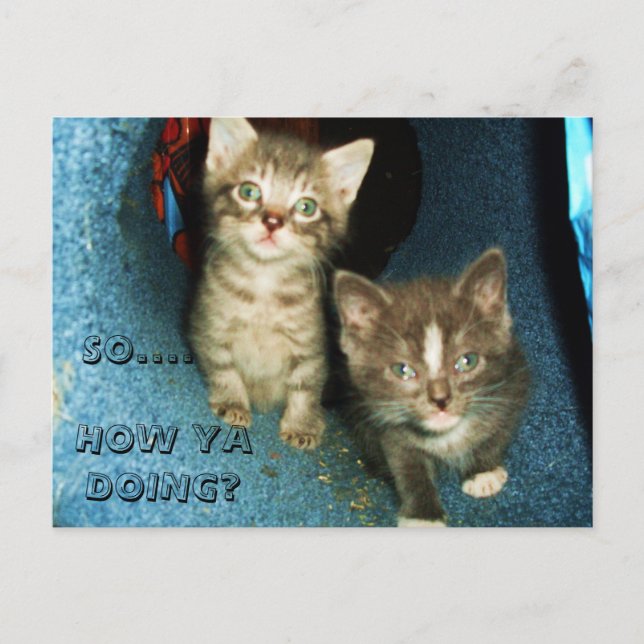 COMMENT OUI FAIRE, carte postale KITTY (Devant)