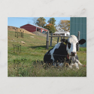 "Comment vas-tu ?" carte postale de vache