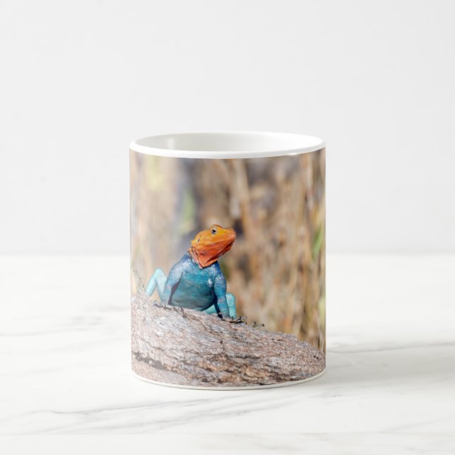 Common Agama Coffee Mug (Center)