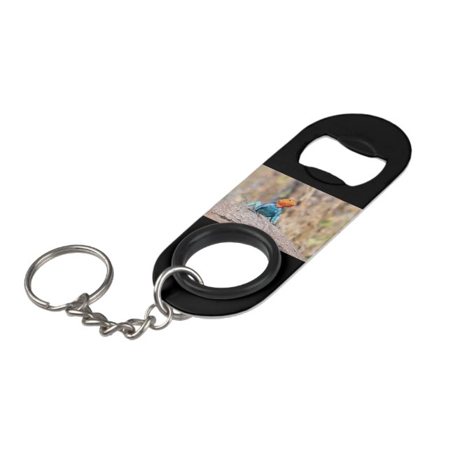 Common Agama Keychain Bottle Opener (Front Angled)
