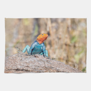 Common Agama Kitchen Towel