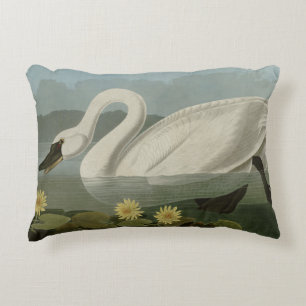 Common American Swan - Audubon's Birds of America Accent Pillow