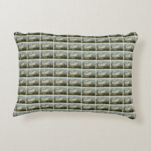Common American Swan - Audubon's Birds of America Accent Pillow