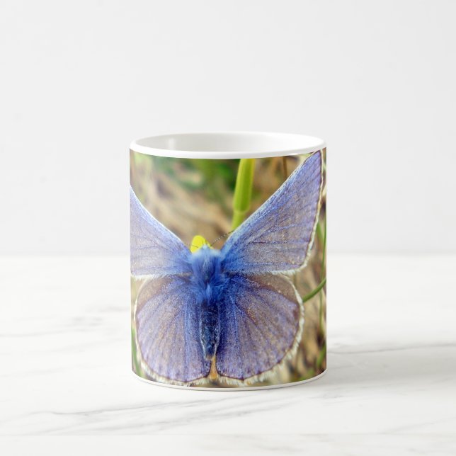 Common Blue Butterfly Bug Mug (Center)