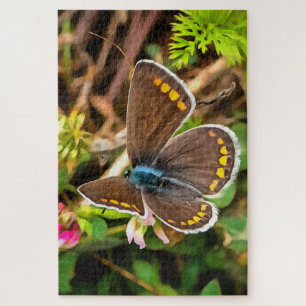Common Blue Butterfly Polyommatus Icarus Painting Jigsaw Puzzle