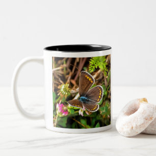 Common Blue Butterfly Polyommatus Icarus Painting Two-Tone Coffee Mug