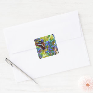 Common Bluebottle [Square Seal] Square Sticker
