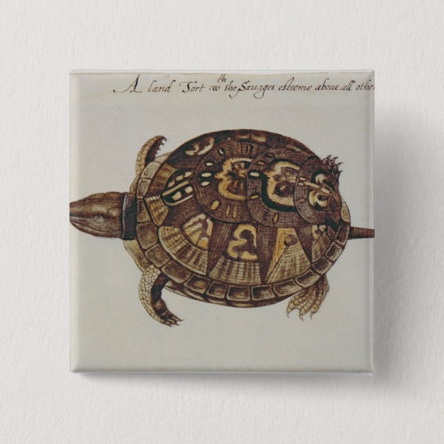 Common Box Tortoise 2 Inch Square Button (Front)