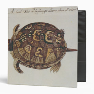 Common Box Tortoise Binder