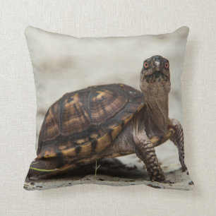 Common box turtle throw pillow