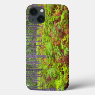 Common Bracken (Pteridium Aquilinum) Growing iPhone 13 Case