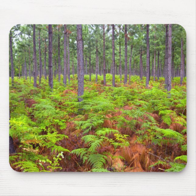 Common Bracken (Pteridium Aquilinum) Growing Mouse Pad (Front)