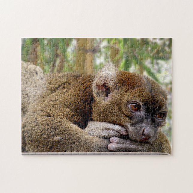 Common Brown Lemur, Jigsaw Puzzle (Horizontal)
