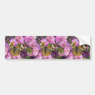 Common Buckeye Butterfly Bumper Sticker