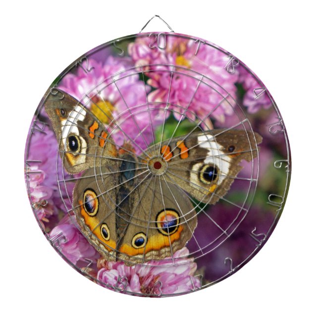 Common Buckeye Butterfly Dartboard (Front)
