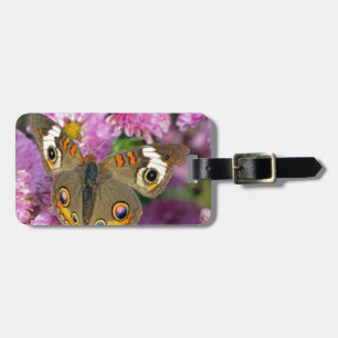 Common Buckeye Butterfly Luggage Tag