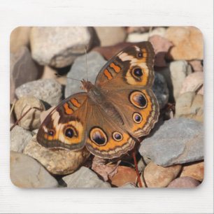 Common Buckeye Butterfly on River Rock Mousepad