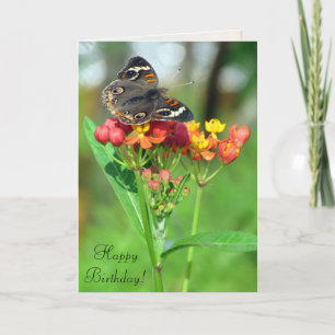 Common Buckeye Butterfly SIL Birthday Card