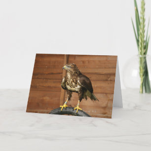 Common Buzzard Bird of Prey Card