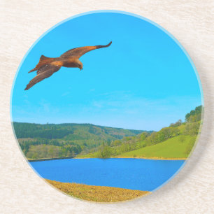 Common Buzzard in flight over Ladybower reservoir Coaster
