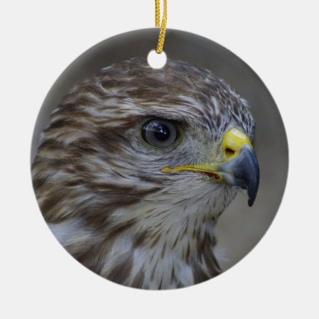 Common Buzzard Portrait Ceramic Ornament (Front)