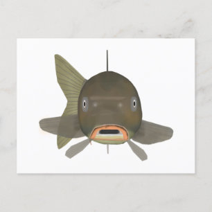 Common Carp - Fish Head Postcard