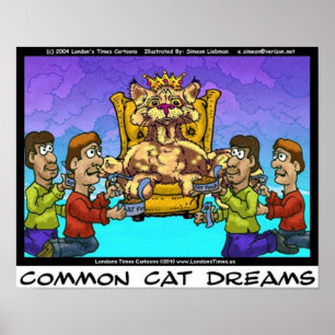 Common Cat Dreams Funny Collectible Art Poster
