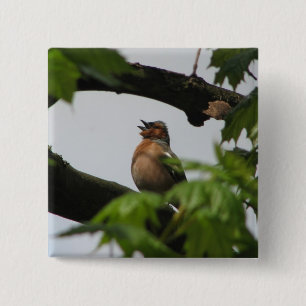 Common Chaffinch 2 Inch Square Button