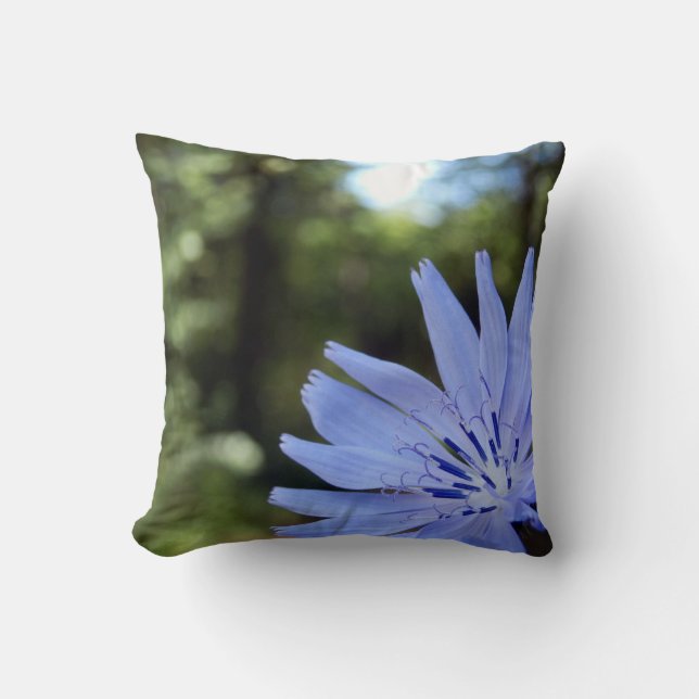 Common Chicory Throw Cushion (Front)