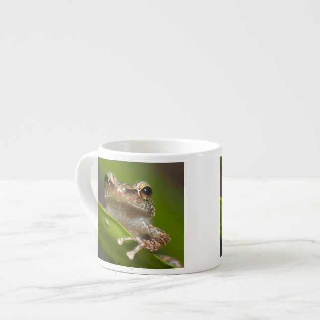 Common coqui, Eleutherodactylus coqui Espresso Cup (Front Left)