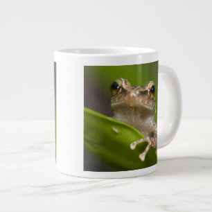 Common coqui, Eleutherodactylus coqui Large Coffee Mug