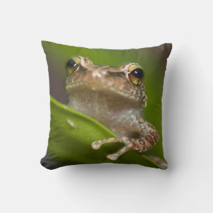 Common coqui, Eleutherodactylus coqui Throw Pillow